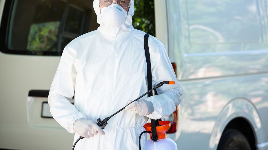 Our Pest Control Adelaide